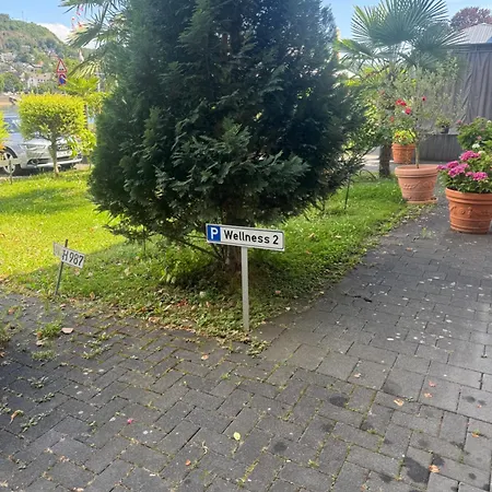 Entspannung Am Rhein * 雷马根