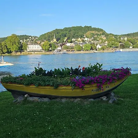 Entspannung Am Rhein 公寓 *